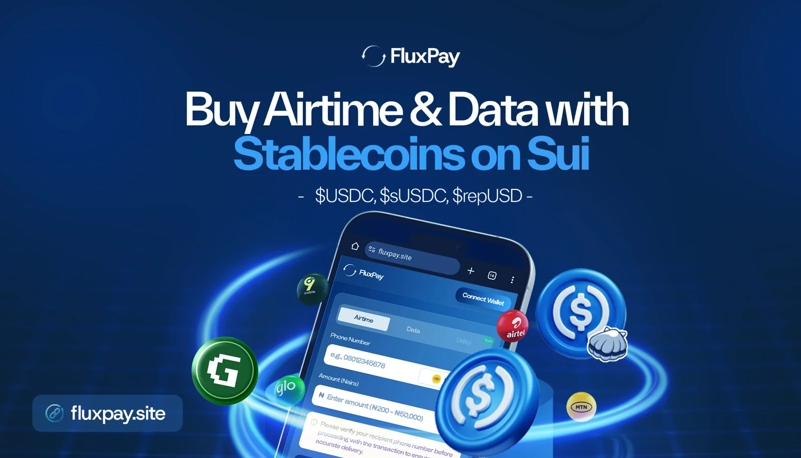 FluxPay cross-border payments interface